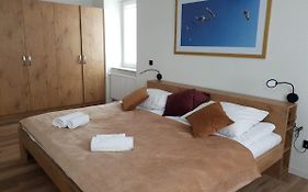 Apartament Zimowiec